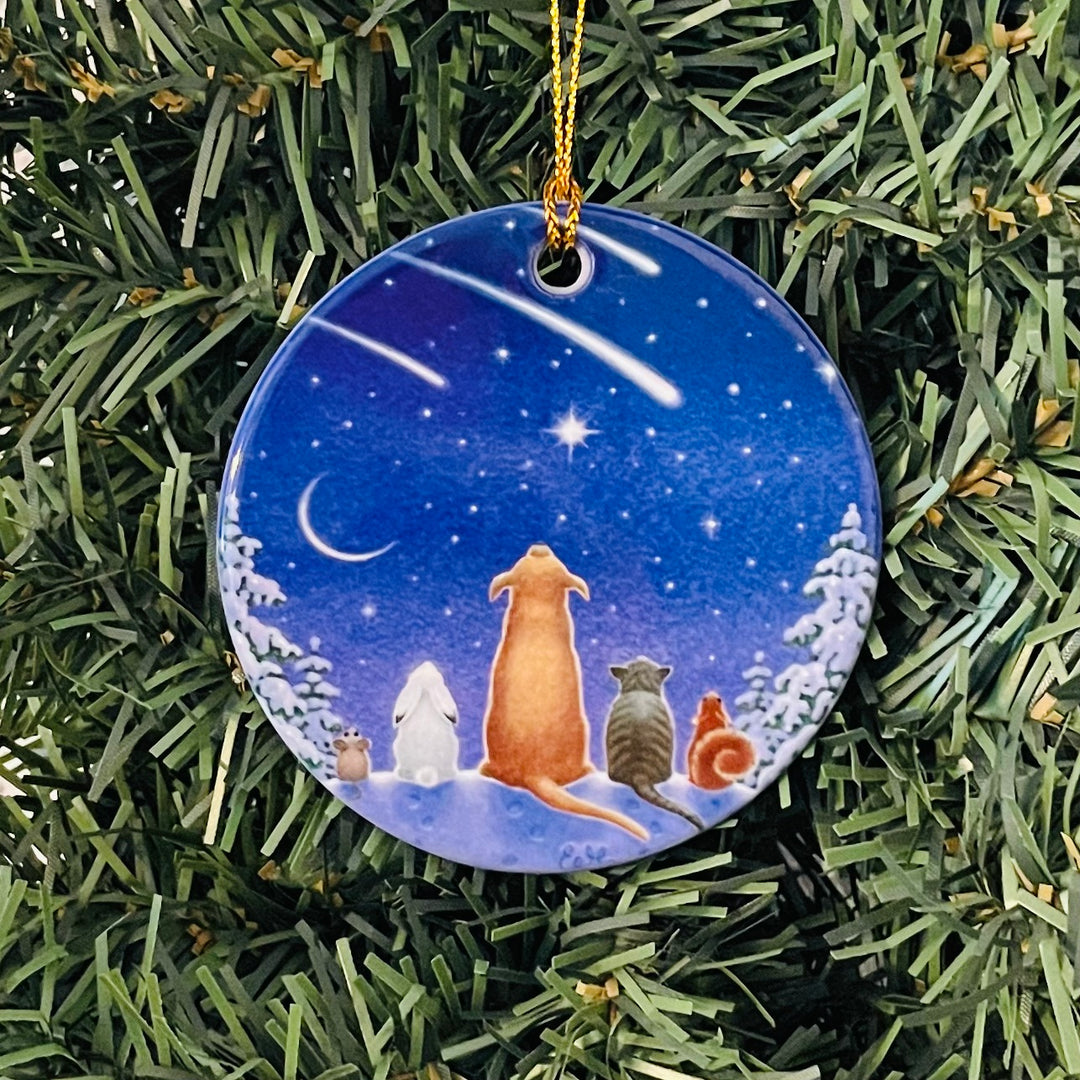 Ceramic Ornament, Eva Melhuish, Pets watching shooting stars