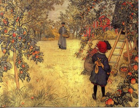 SALE Note Cards, Carl Larsson Apple harvest package of 6