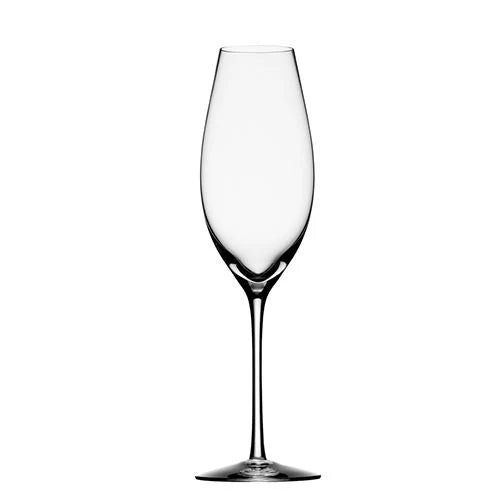 Orrefors Difference champagne glass
