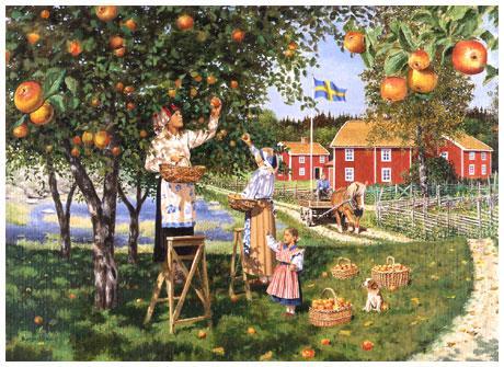 Jan Bergerlind Apple Harvest paper poster