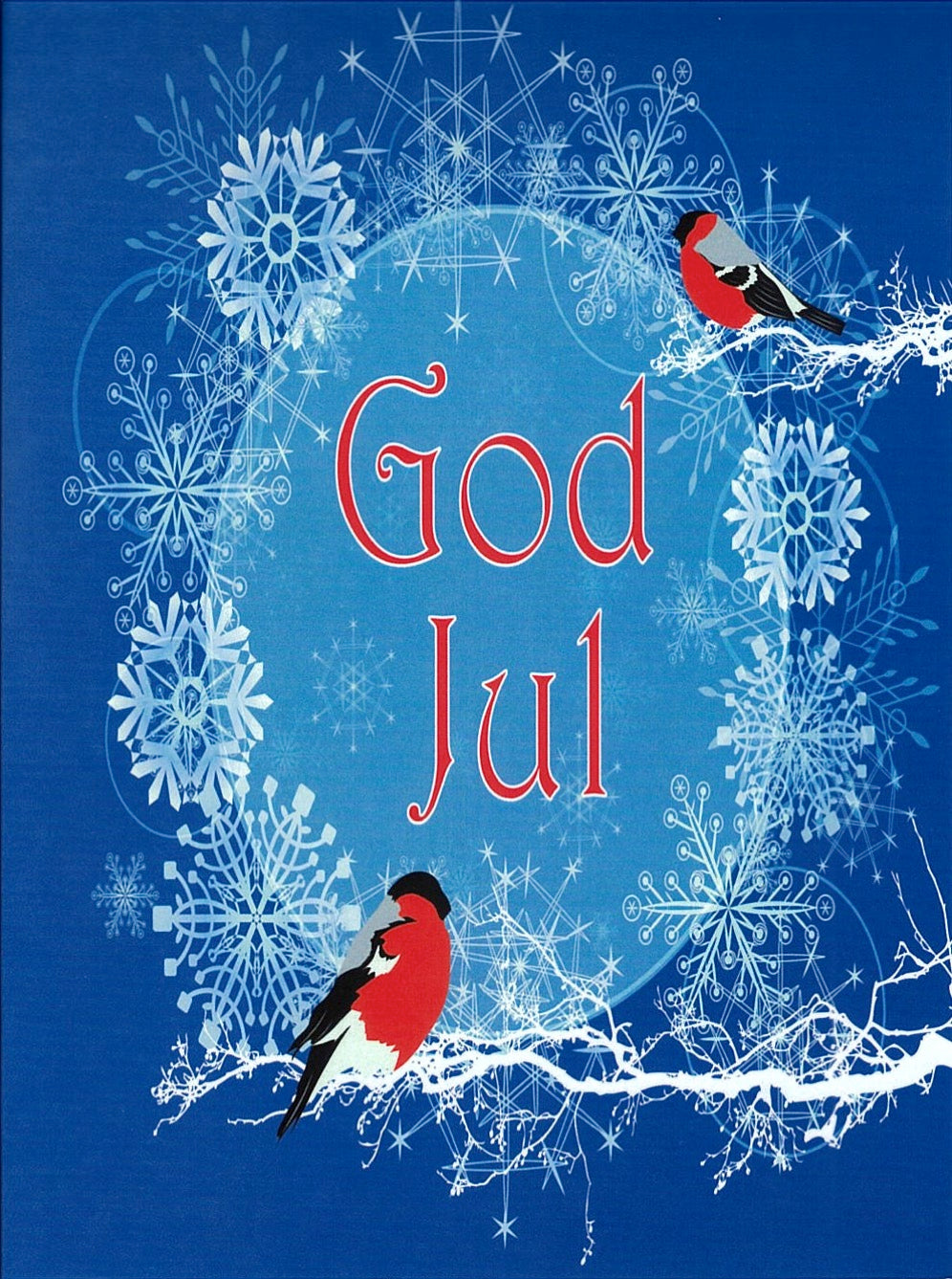 Christmas Cards Snowflakes and Bullfinch Pkg of 6