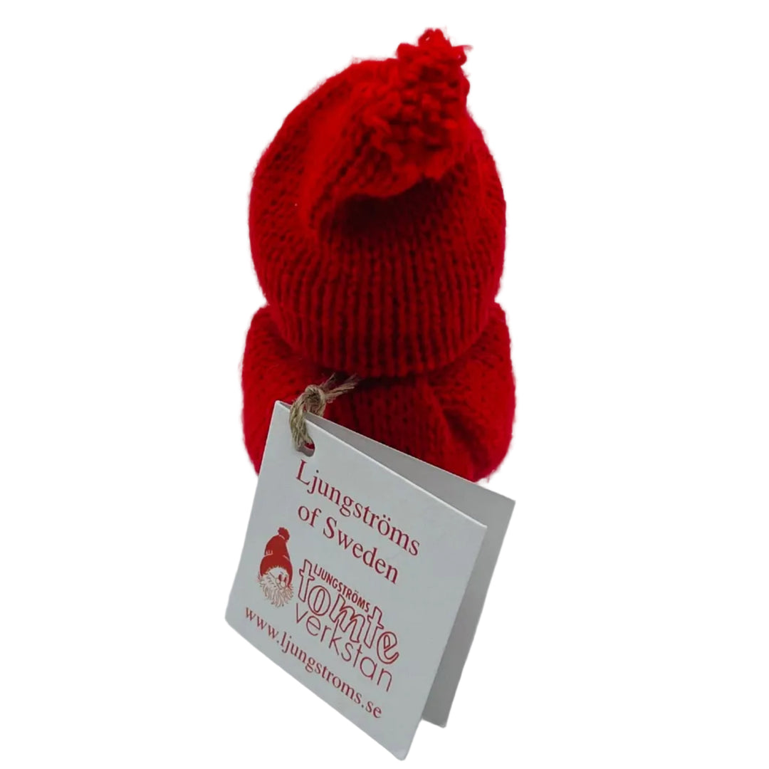 Swedish tomte boy with lantern