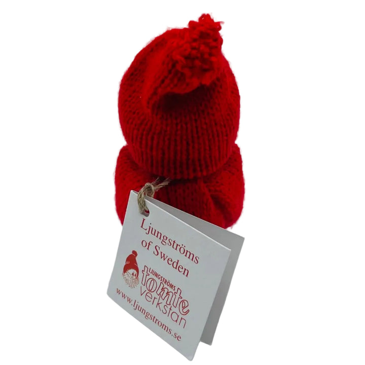 Swedish tomte boy with lantern