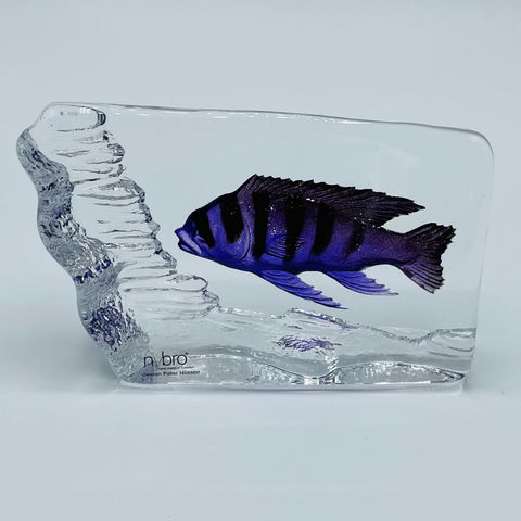 Nybro Glass Block - Malawi Fish