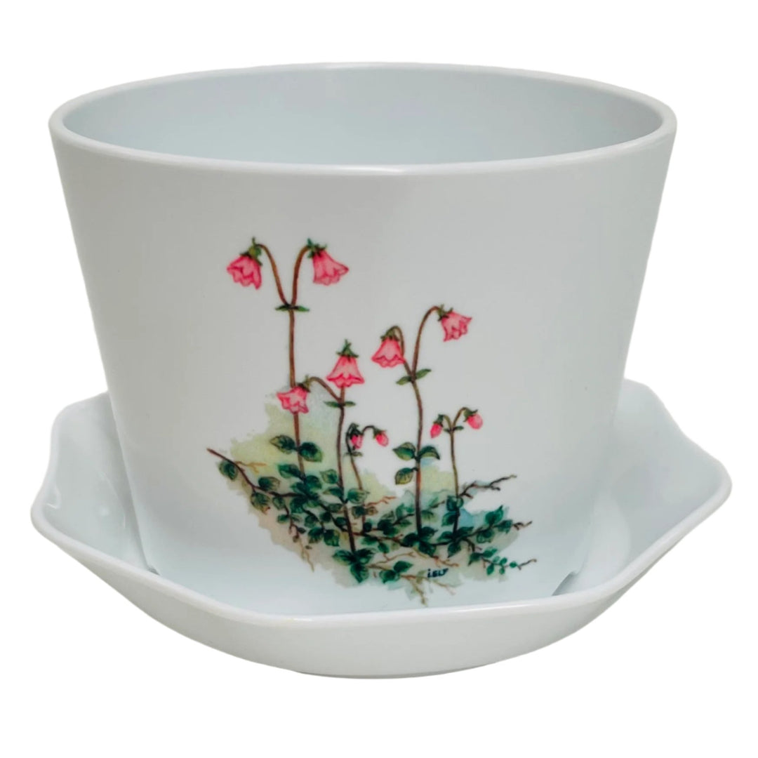 Flower pot - Linnea flowers