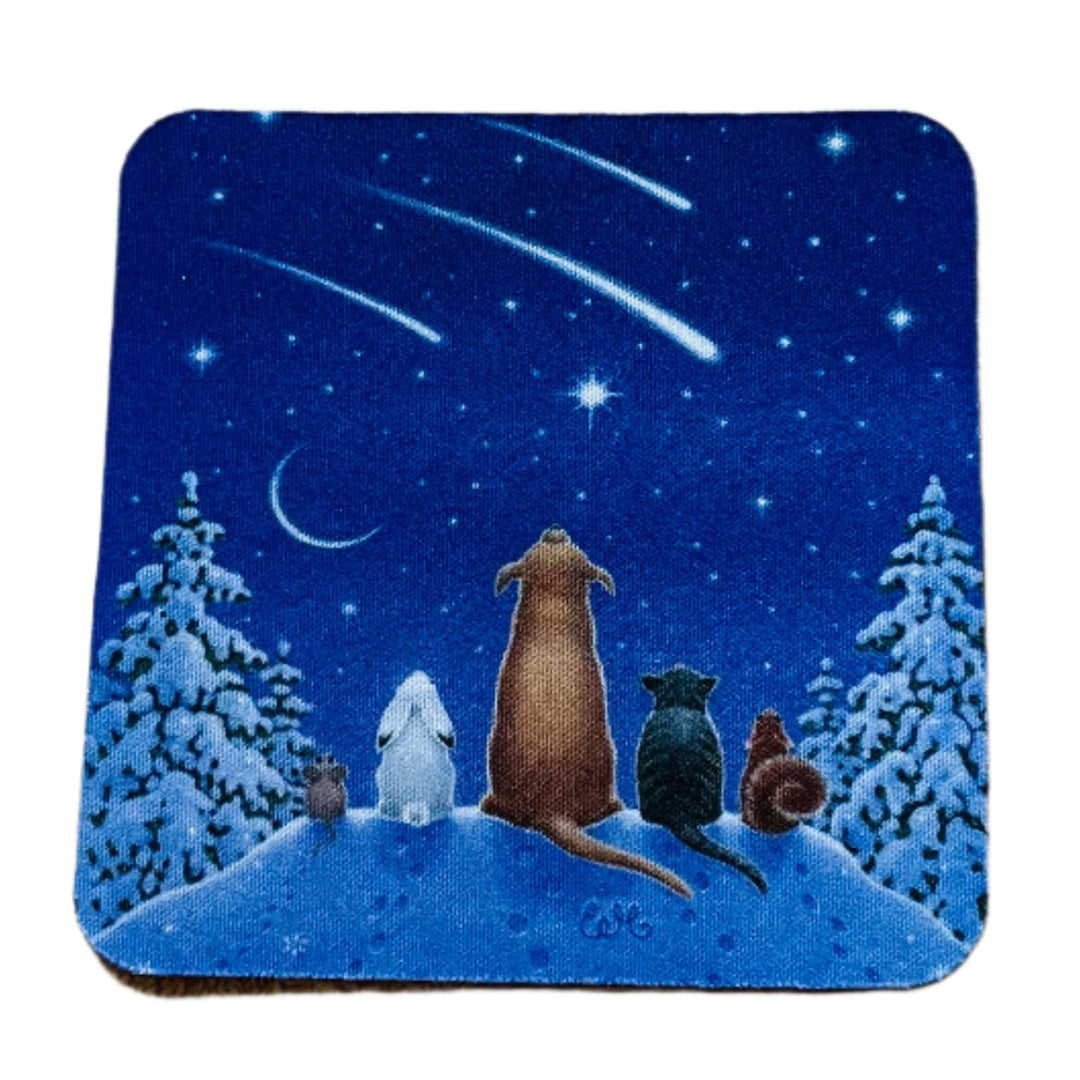 Eva Melhuish Animals watching Shooting Stars Coasters Box of 6