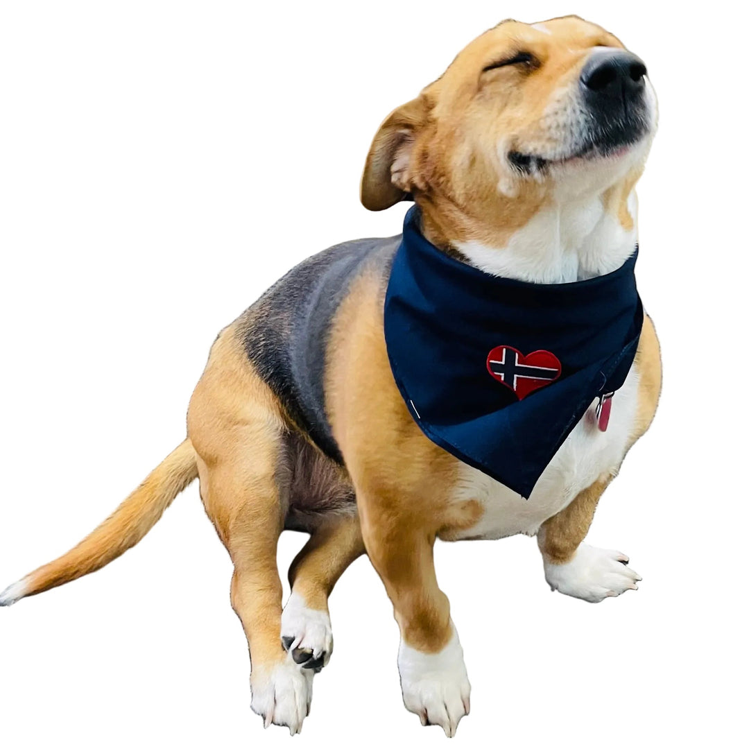 Cotton Bandana with Embroidered Norway Heart