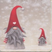 Gnomes Coaster Box of 6