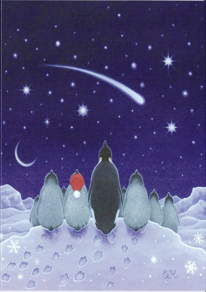 Boxed cards, Eva Melhuish Christmas Penguins