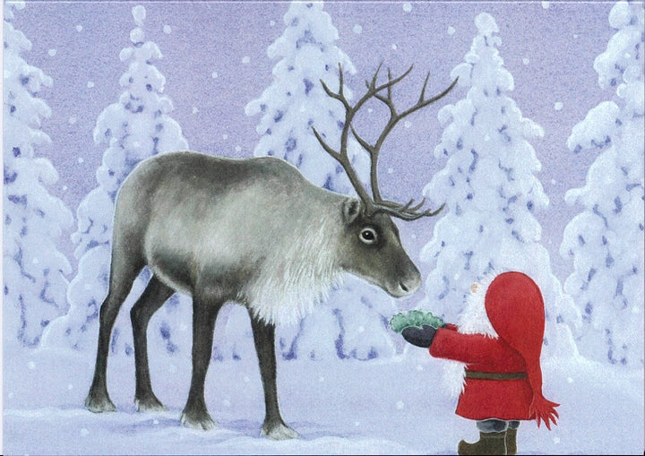 Boxed cards, Eva Melhuish Tomte feeding Reindeer