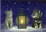 Boxed cards, Eva Melhuish  Dog and Cat with Lantern