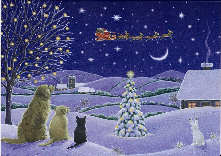 Boxed cards, Eva Melhuish Pets watching Santa's Sleigh