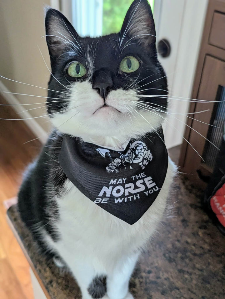 Pet Bandana - May the Norse be with you