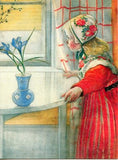 Boxed Note Cards, Carl Larsson Karin at the Window