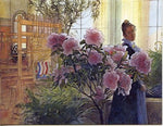 Boxed Note Cards, Carl Larsson Azaleas