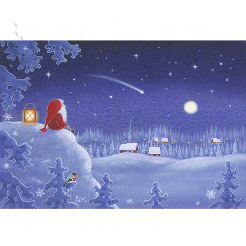Boxed cards,Tomte watching shooting star