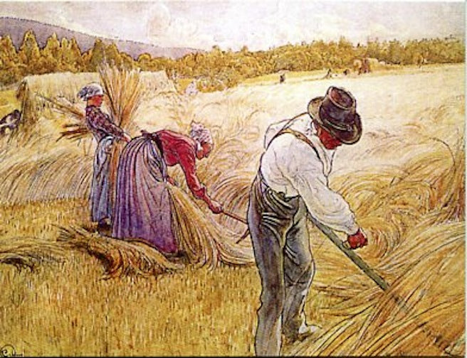 Boxed Note Cards, Carl Larsson Gathering hay