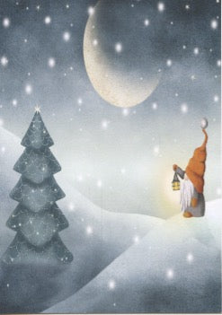 Boxed cards, Gnome in Snowy Moonlight