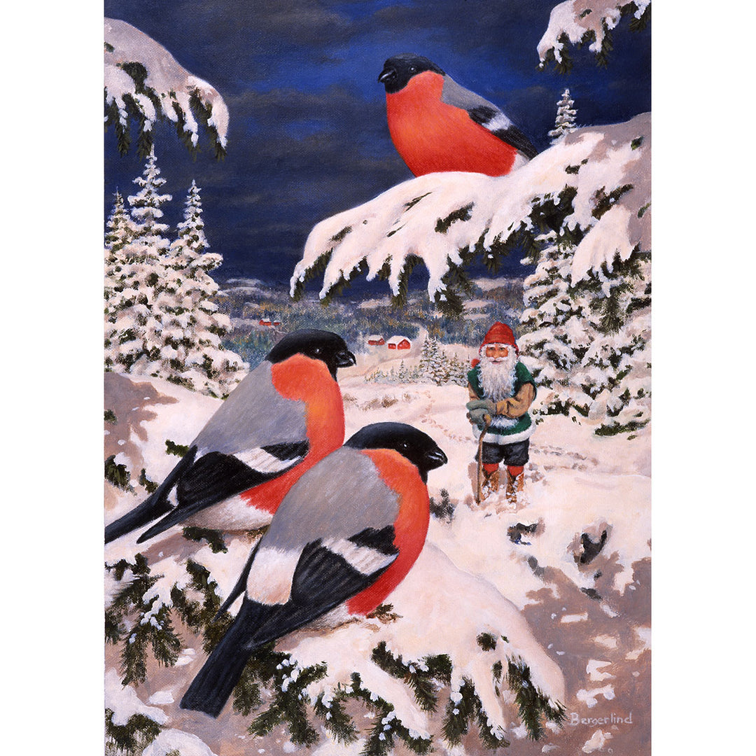 Boxed cards, Jan Bergerlind Tomte with winter birds