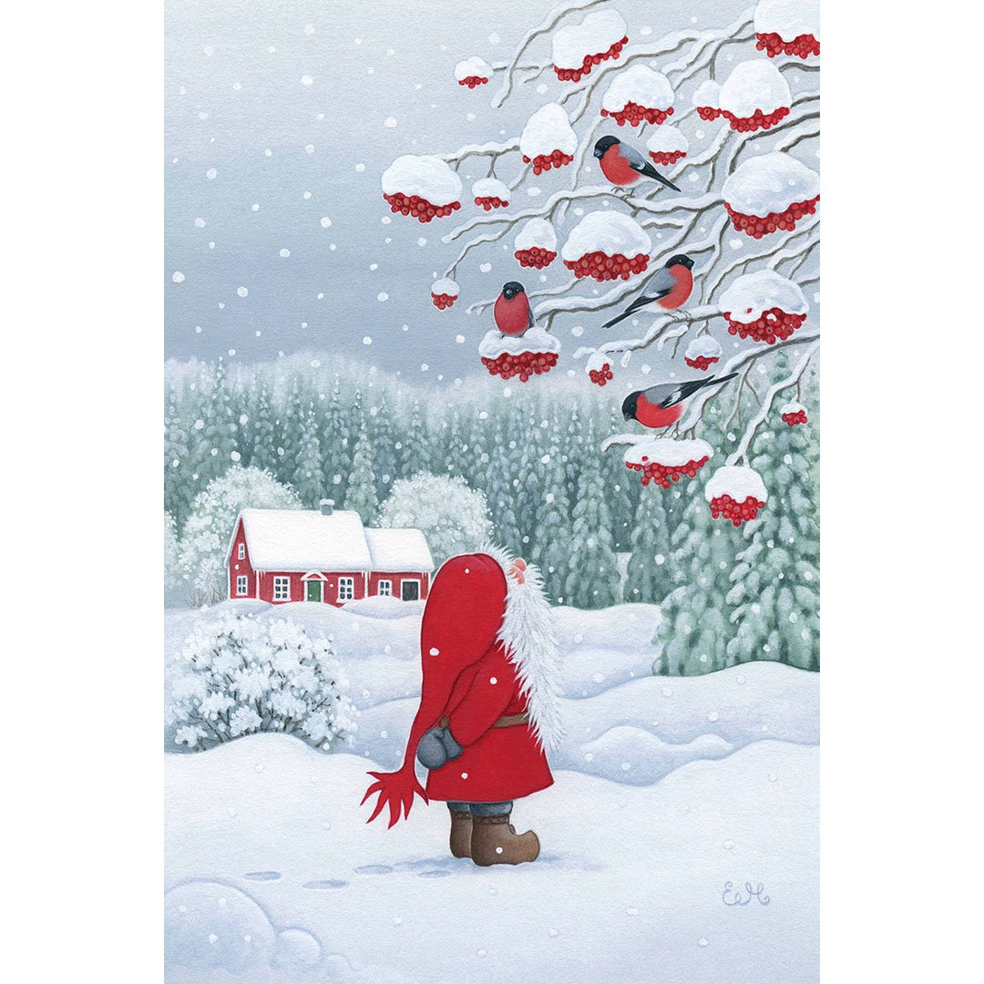 Boxed cards, Eva Melhuish Tomte bird watching