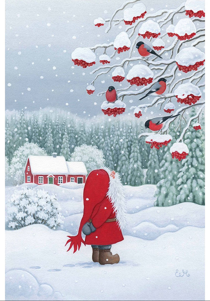 Rectangle Magnet, Eva Melhuish, tomte watching birds
