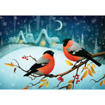 Boxed cards, Winter bird pair