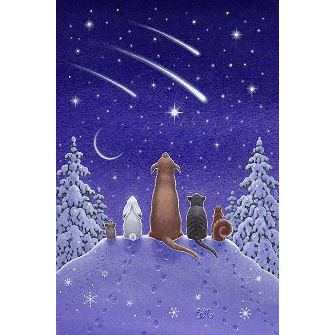 Paper Poster, Eva Melhuish Pets watching Shooting Stars