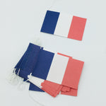France Flag Garland