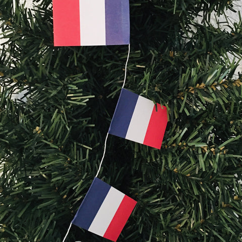 France Flag Garland