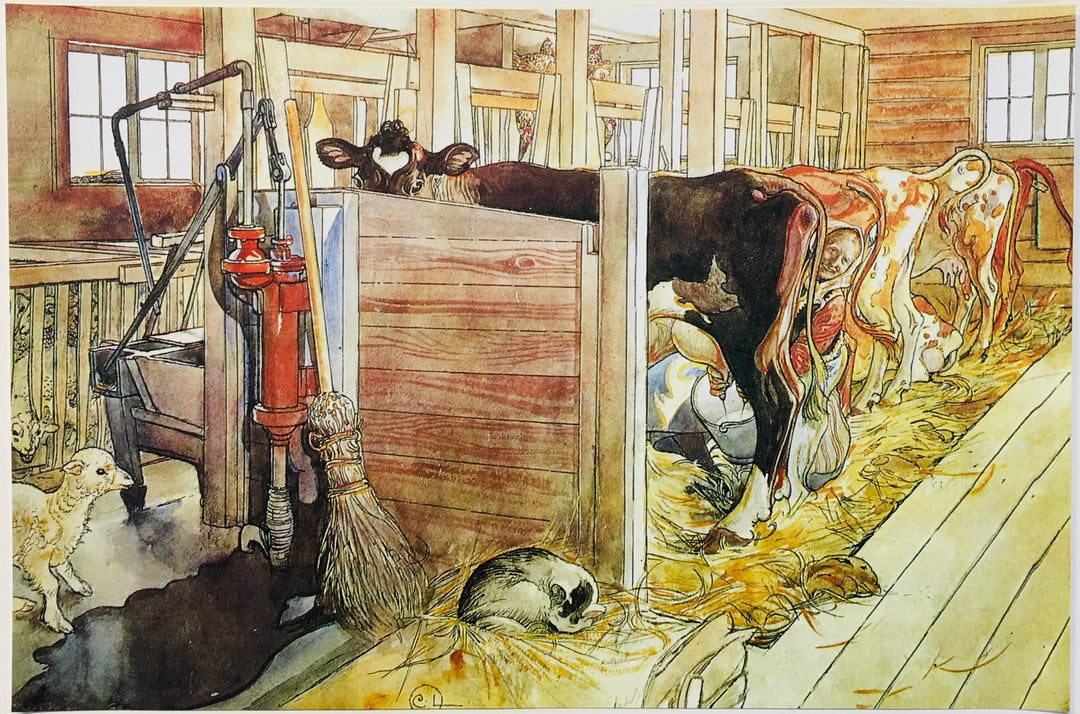 Carl Larsson Milking Cows Artist Print