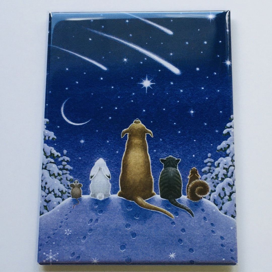 Rectangle Magnet, Eva Melhuish Pets watching Shooting Stars