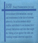 Swedish Dishcloth - Finnish Sisu definition